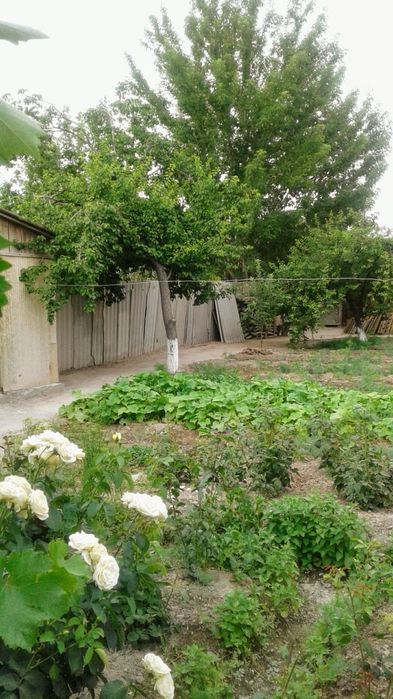 Продам дом в центре города.