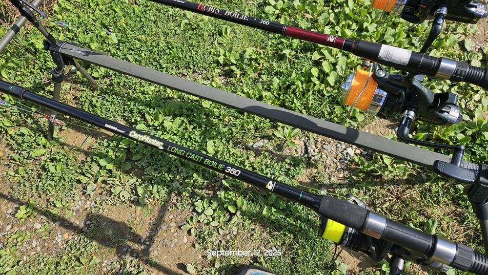 Bete pescuit la crap