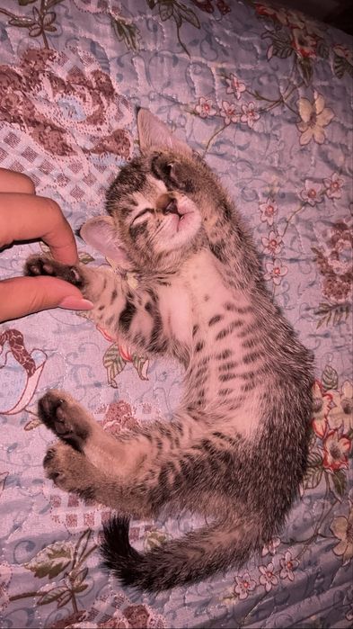 мальчик 1 месяц