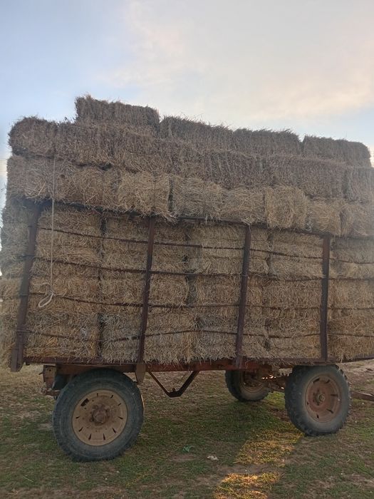 Мтз 80 сатылады жагдайе жаксы