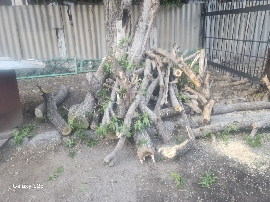 Дрова бесплатно сомавывоз