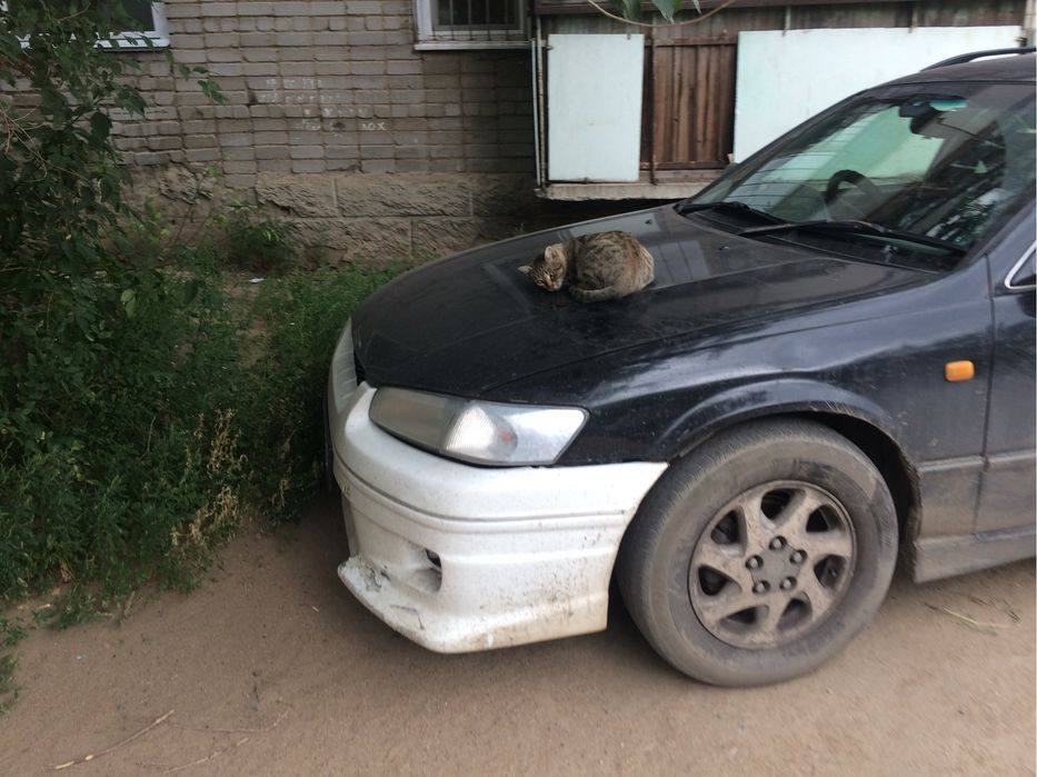 Бампер камри 20 япония оригинал