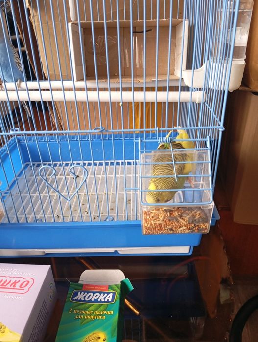 Продам    продам