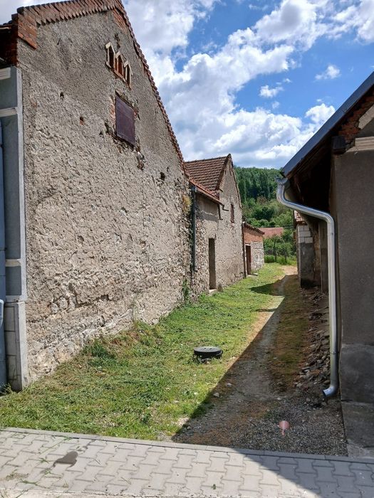 Vând casă în Ciclova-Română