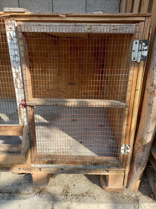 Tuvuq uchun katak sotiladi