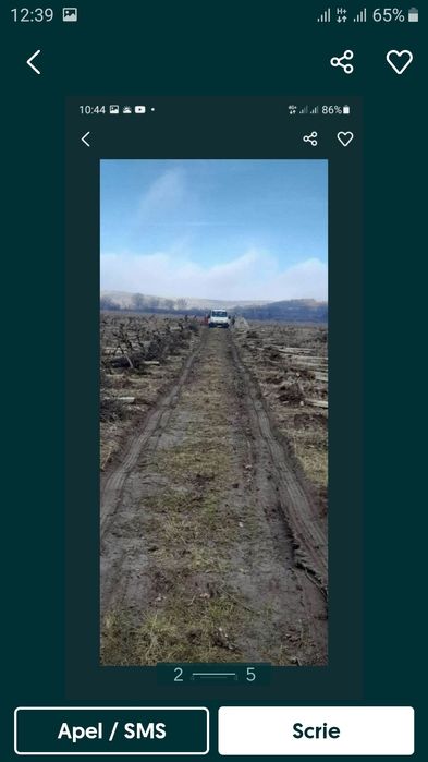 De sărbători cu șpalieri de beton