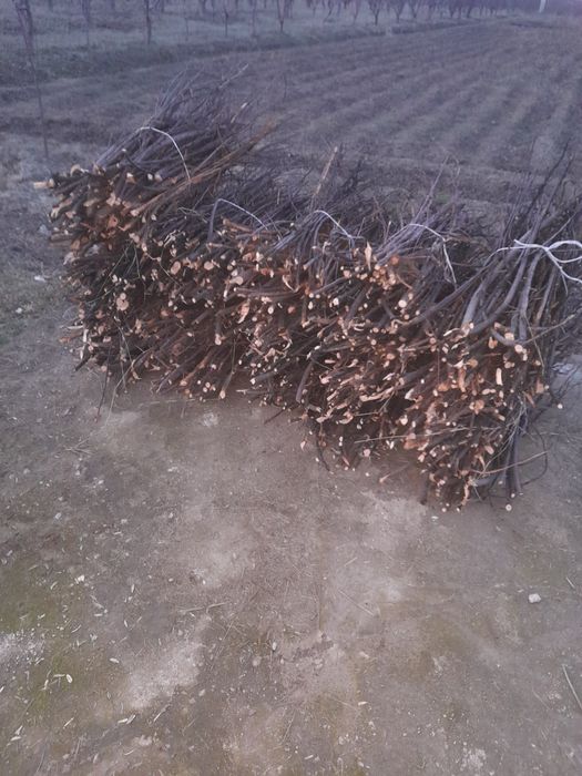 Майда утин богланган