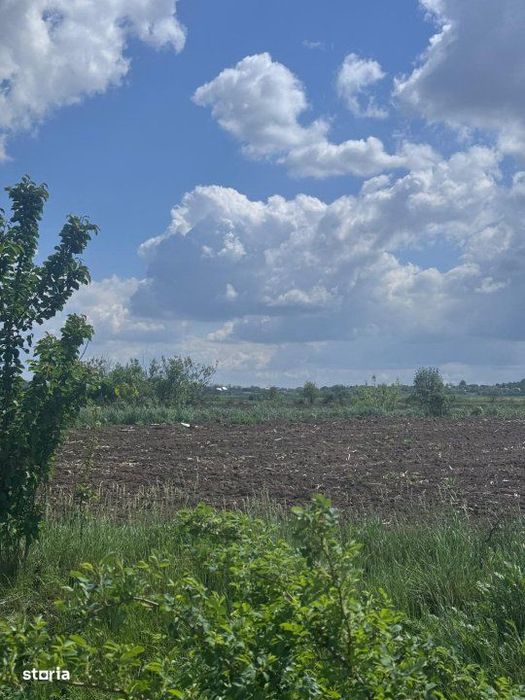 Teren extravilan, 7800mp, Burla