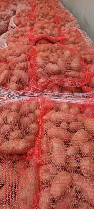 Cartofi consum Roșu