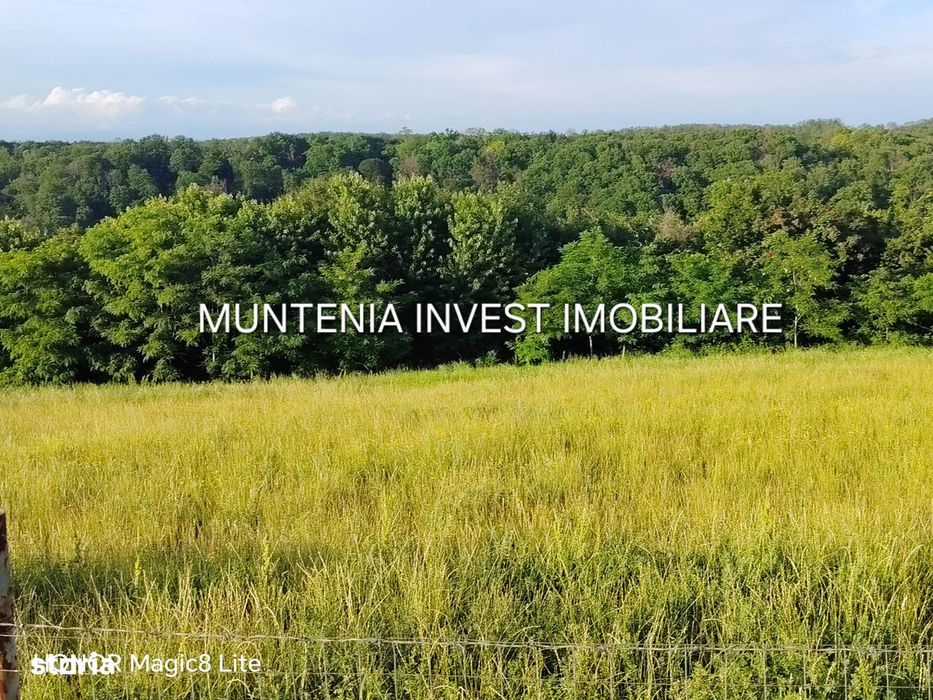 De vanzare 40.800 mp. teren, Calinesti