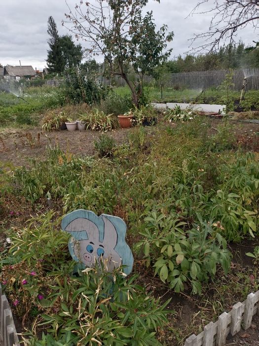 Продам/сдам  дачу на Кск