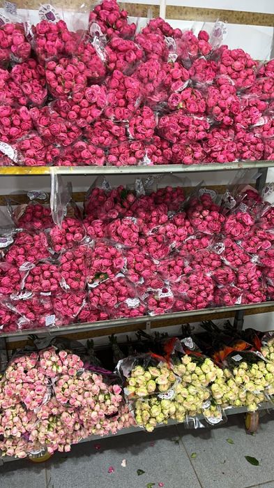 Пионы, Розы со склада