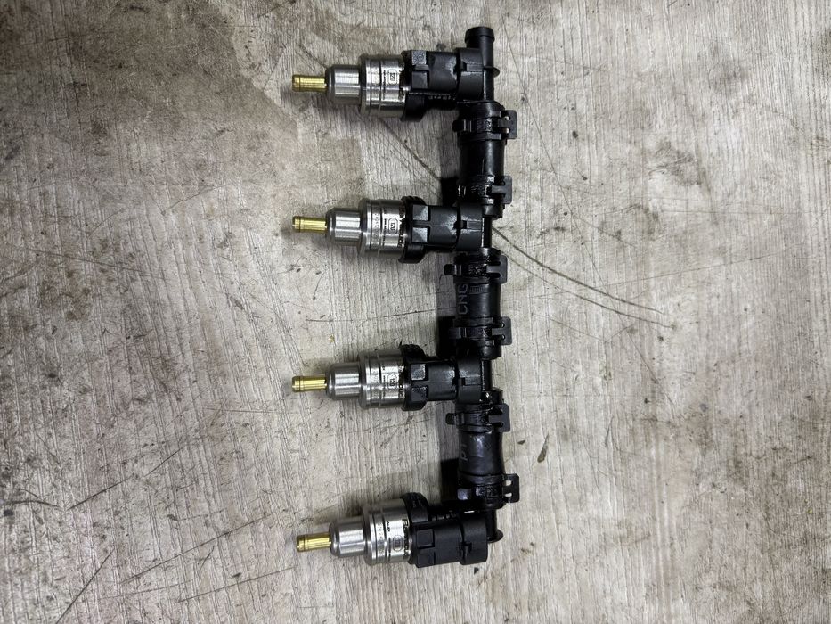 Баракуда оригинал