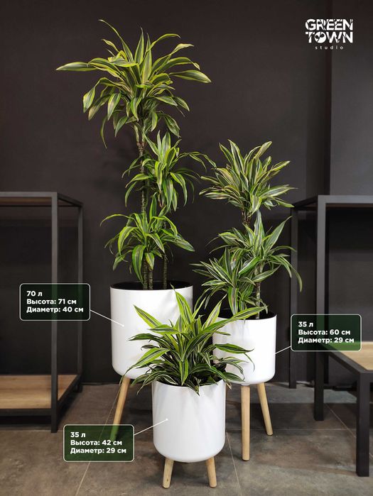 Горшки и кашпо от  Green Town studio