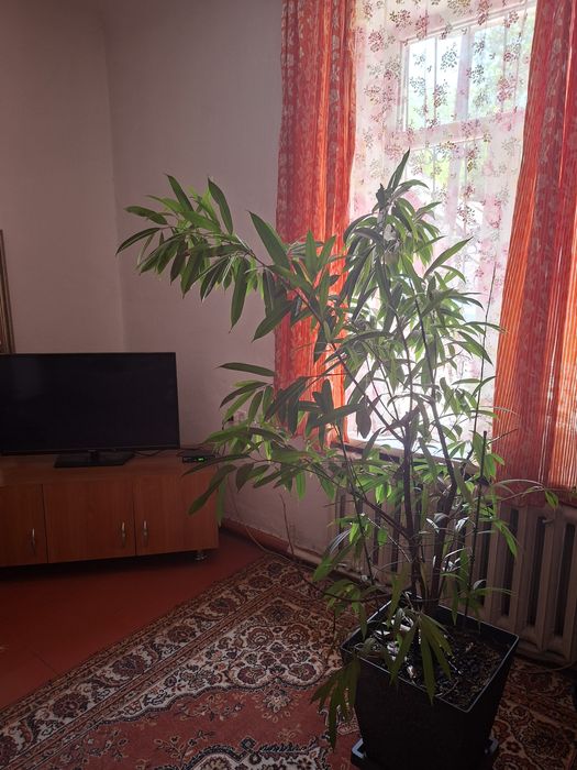 2х комнатная квартира посуточно