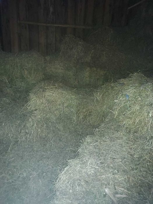 vand baloti lucerna de calitate