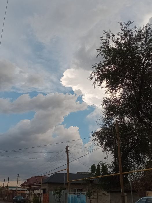 орро а 31 оргинал