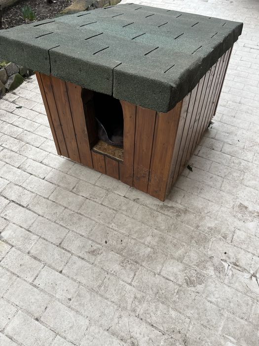 Cusca caine izolata termic