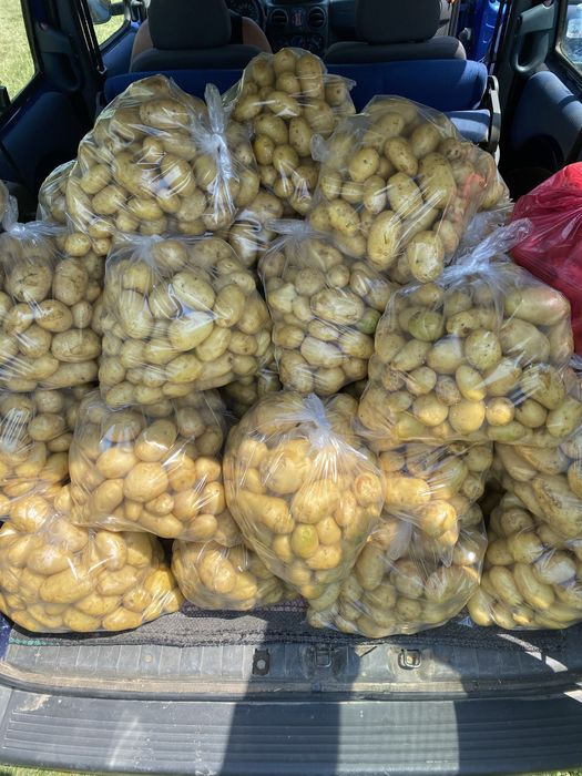 Пресен картоф / Пресни картофи