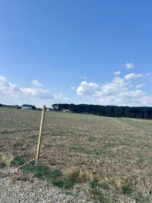 Lot teren intravilan Ciolpani - padurea Snagov