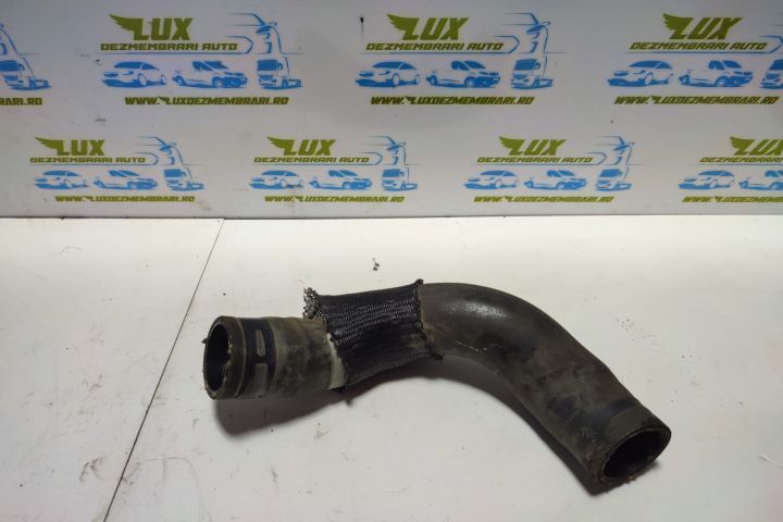 Conducta apa Renault Grand Scenic 3  [din 2009 pana  2012] seria