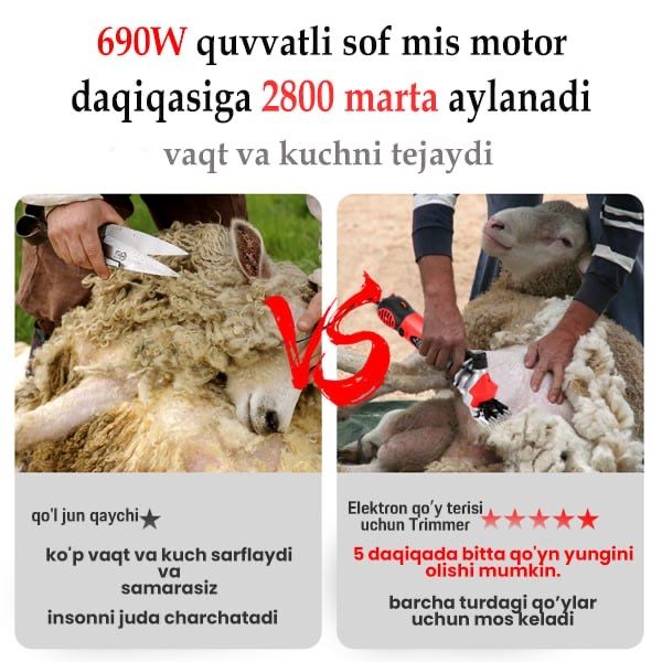 Qoʻy yungi olish uchun mashinka