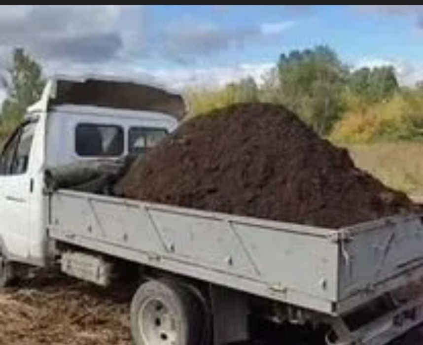 Перегной отличного качества.
