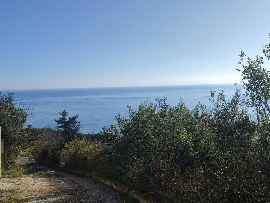 Продава се Парцел в к.к. Златни пясъци - 904 кв.м за 43 €/кв.м - Снимка #3