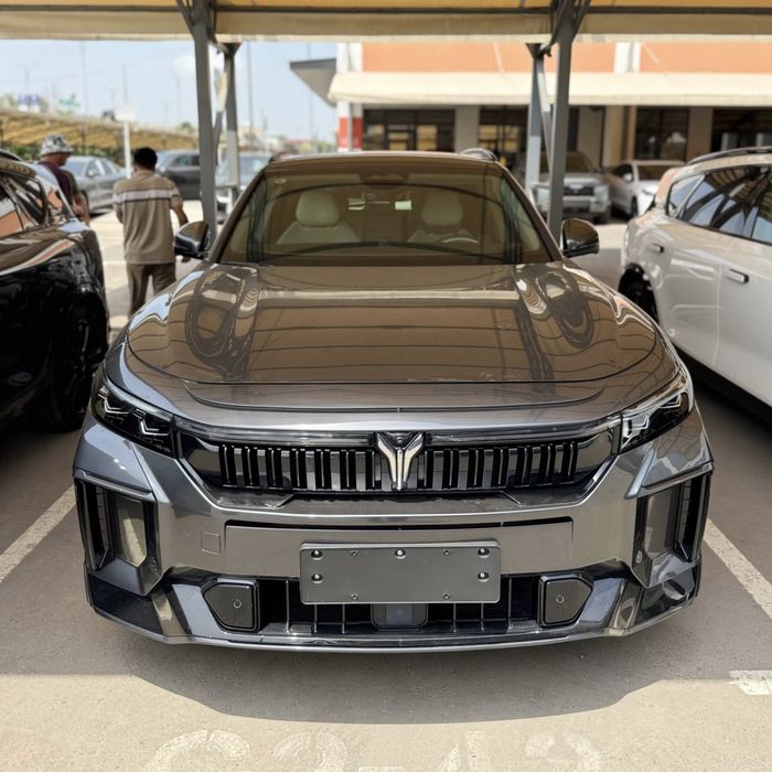 Voyah free Apollo T 318km 2025 йил
