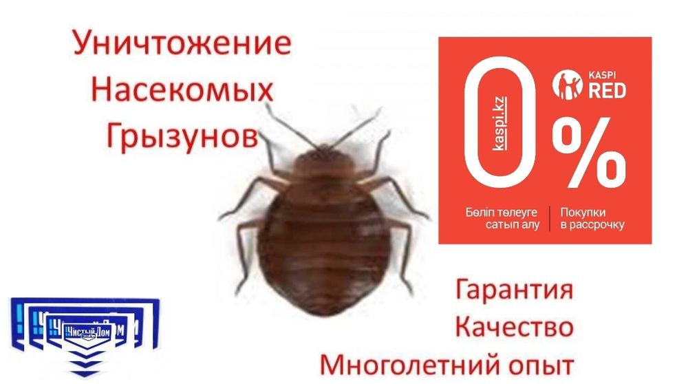 Дезинфекция клопов и тараканов|Качество |Низкие цены|Гарантия |