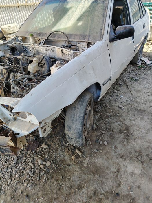 Mowina sotiladi toza kraska qilingan