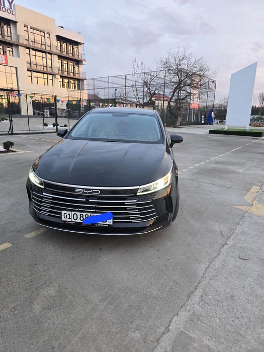 byd chazor 2025 y