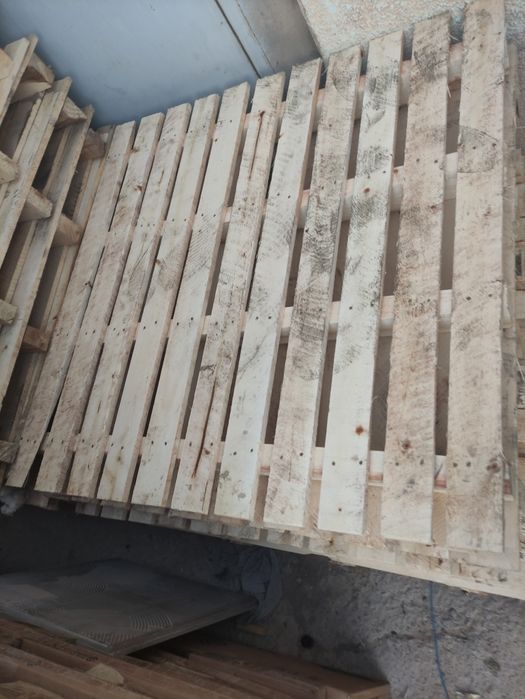 1.10 ga 1.10 sm paddon narxi 80 mingdan Termiz shahar