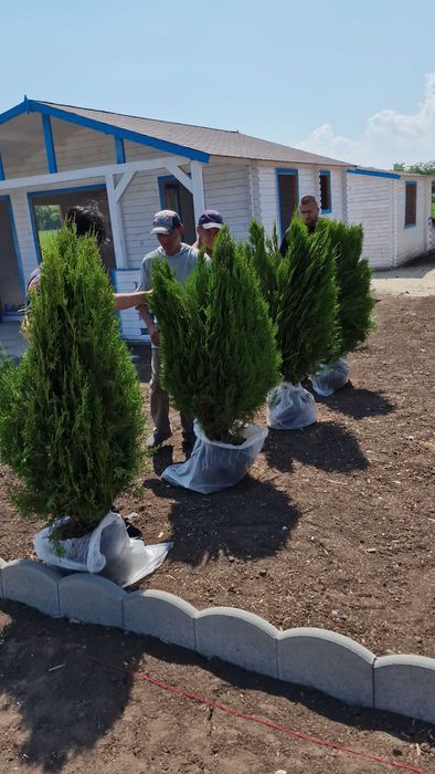 Vand casute lemn in  23 august, aproape statiuni, 16 km de  Nibiru.