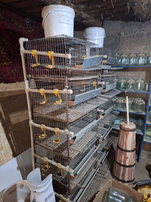 Загон для бо́дене