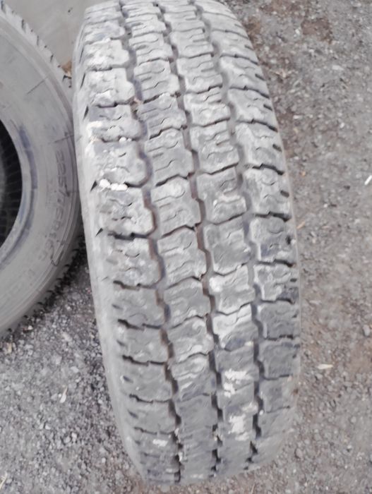 Болон газель продам