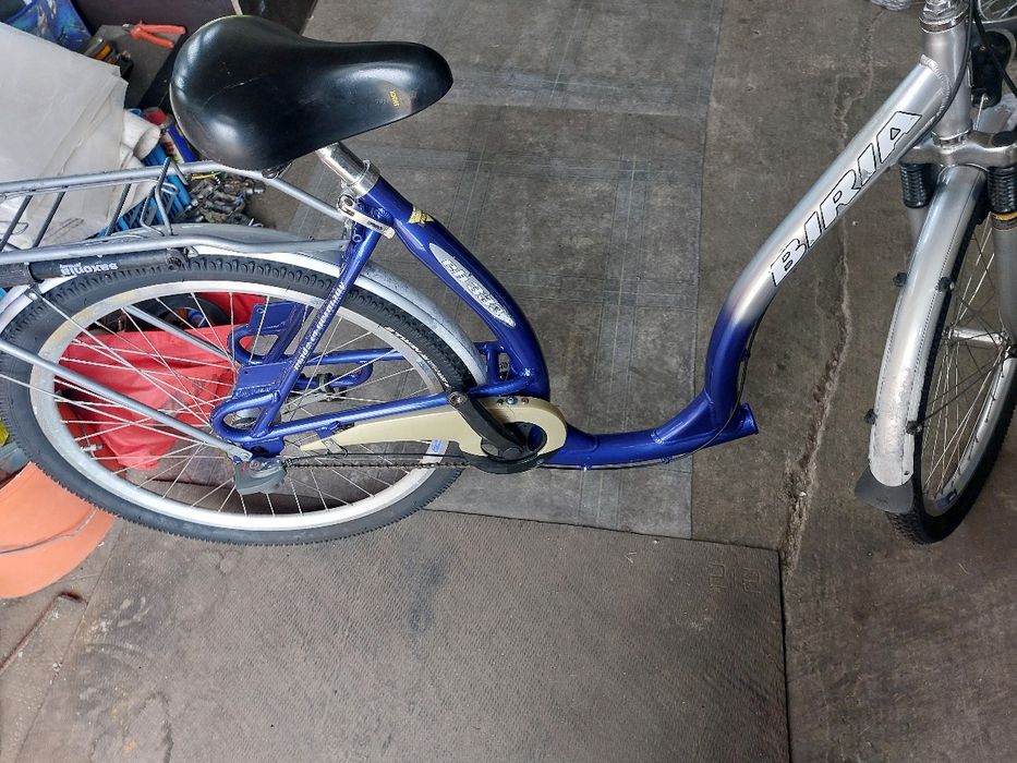 Biciclete de dama și bărbați