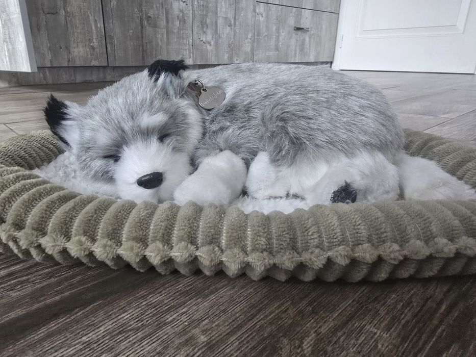 Cățel Husky robotic cu efect realistic original cumpărat din SUA
