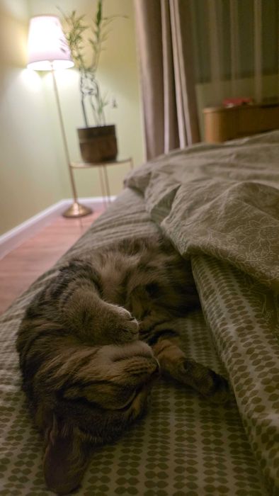 Sophie - un suflet mic si iubitor