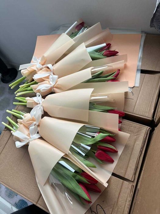 Опт,розница,тюльпаны