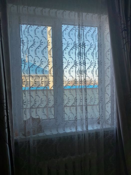 Жапқыш, карнезімен