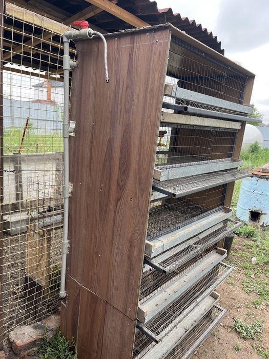 Клетка для перепелок из металла