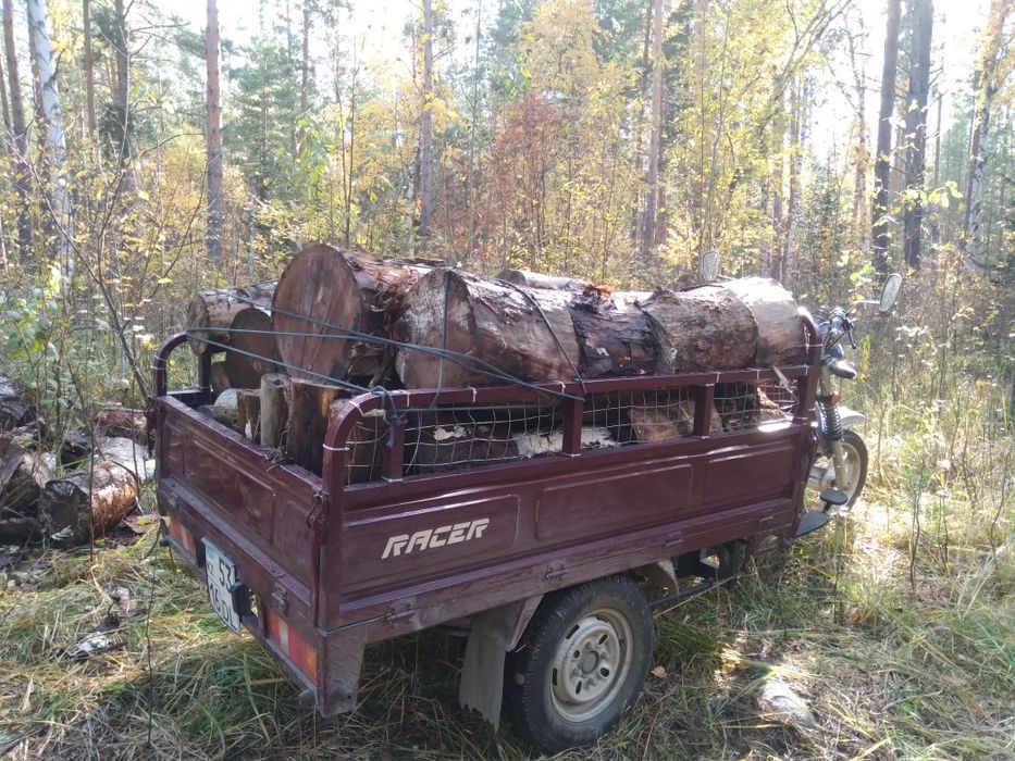 Грузовой мотоцикл Рейсер муравей