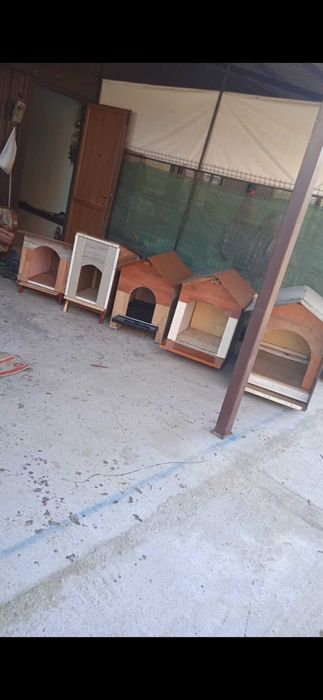 Vand și fabric cusca de caine ieftin