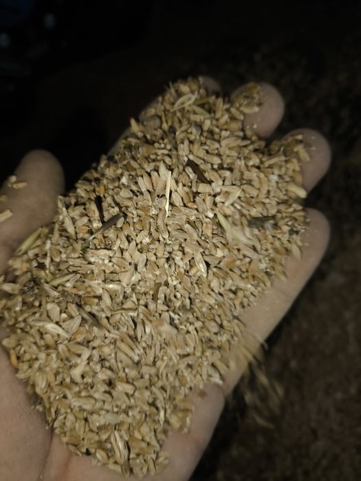 Продам зерноотходы