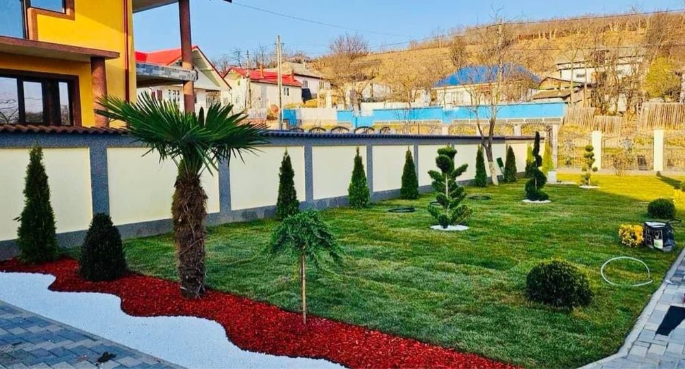 Mesteacan cu coaja alba ,catalpa,palmier,tuia,evonomius dif specii