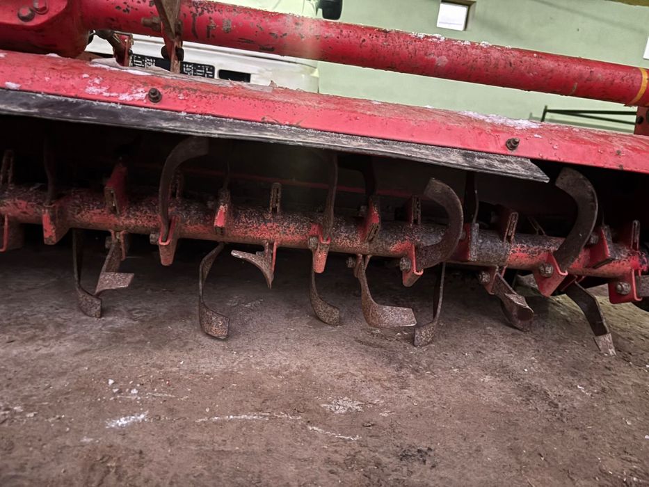 Почфофреза японский