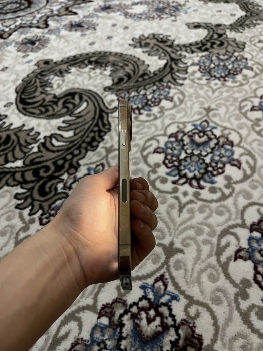 iphone 13 pro max 256. 79%