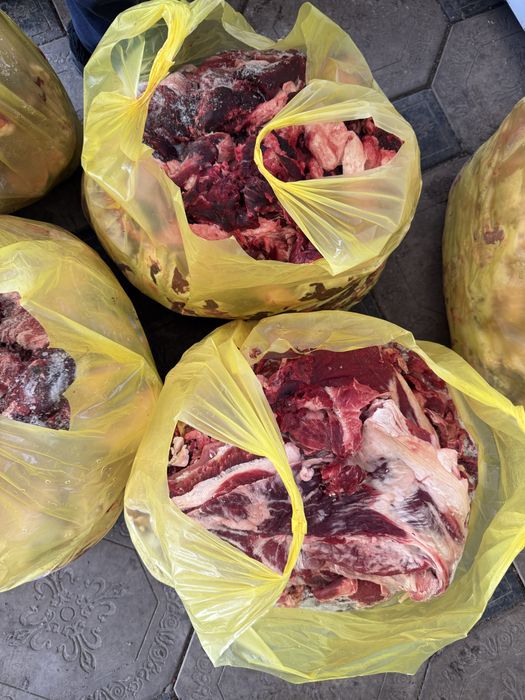 Говядина мякоть кусками