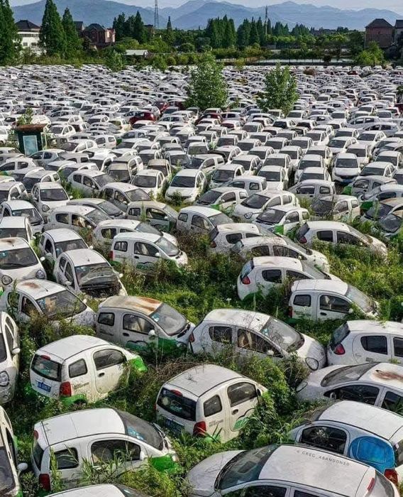 Colectam rable auto pentru Dezmembrări și fier vechi Plata pe loc